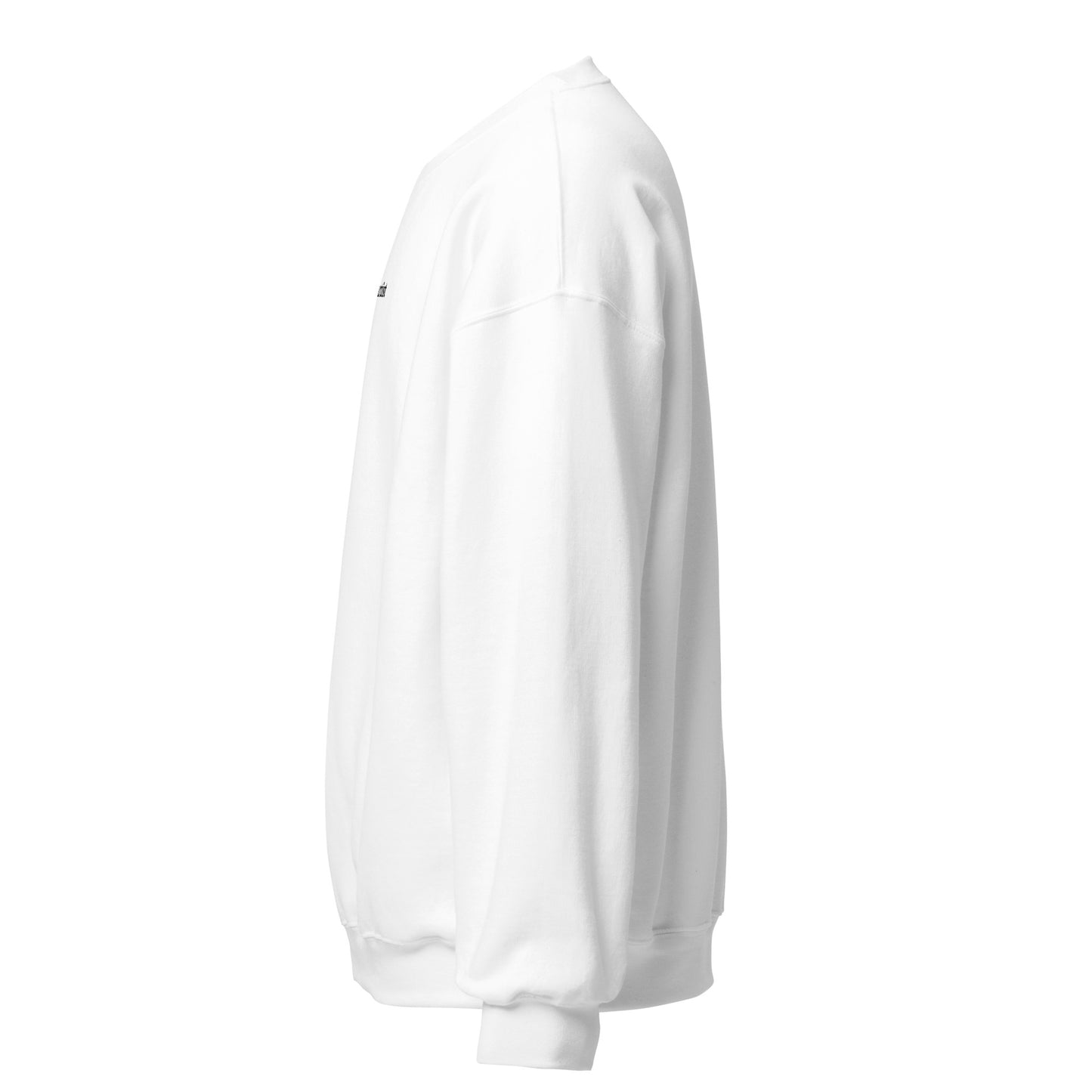 artist sweatshirt